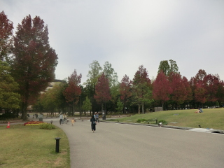 ある公園