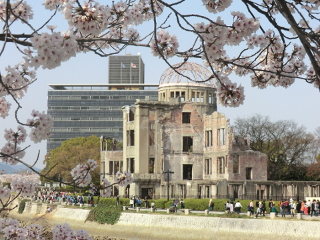 ../桜の木の下から覗いた原爆ドーム