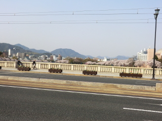相生橋の北側、太田川両岸の桜を遠くに望む