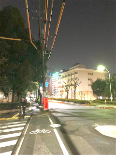 Night Walk 2019-11-01